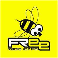 Freemix Free Rádio 107FM