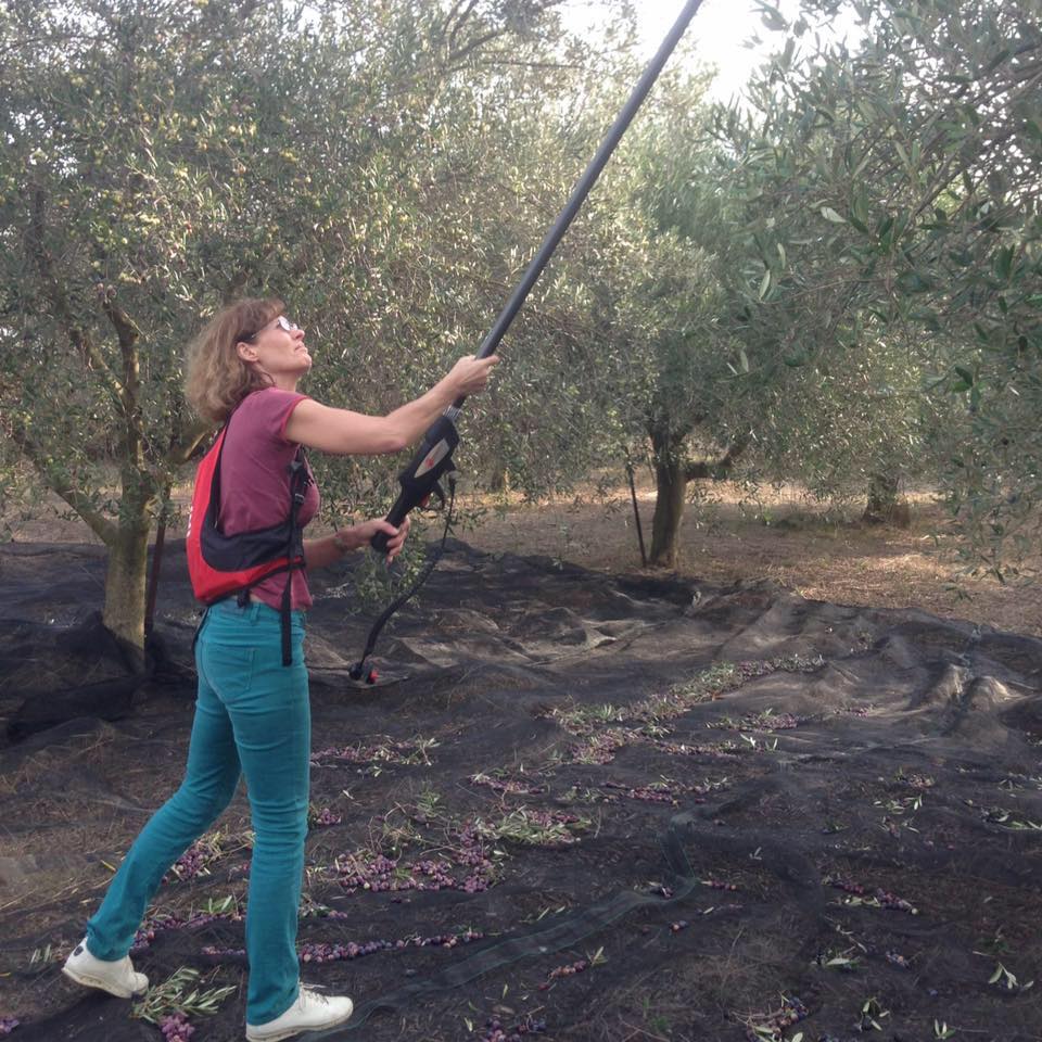 Isabelle Paternotte