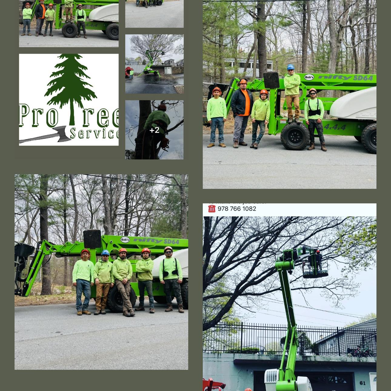 Pro Tree Services