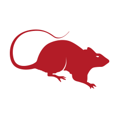Red Rat Racing