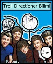 Troll Directioner