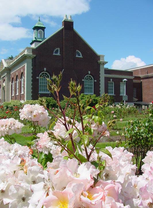 Friends of the Longview Library Rose Garden, WA