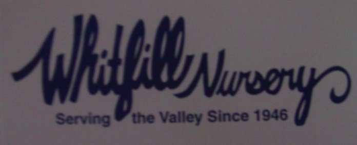 Whitfill Nursery | Gilbert AZ