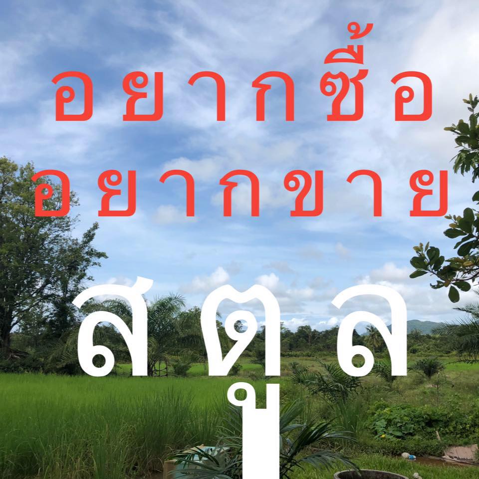 อยากซื้ออ ยากขายสตูล