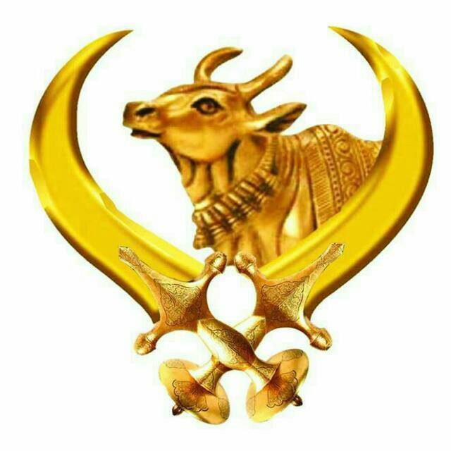 Gau Raksha Dal Gujarat