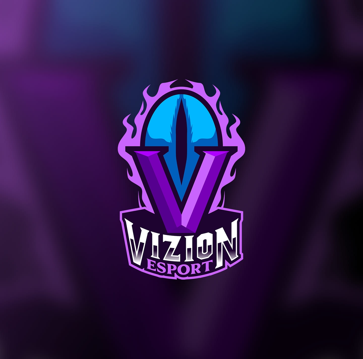 Vizion Esport