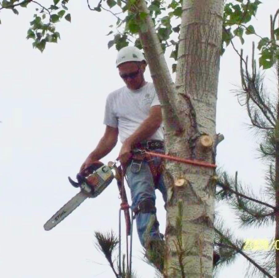 Liberty Tree Service | Conesus NY
