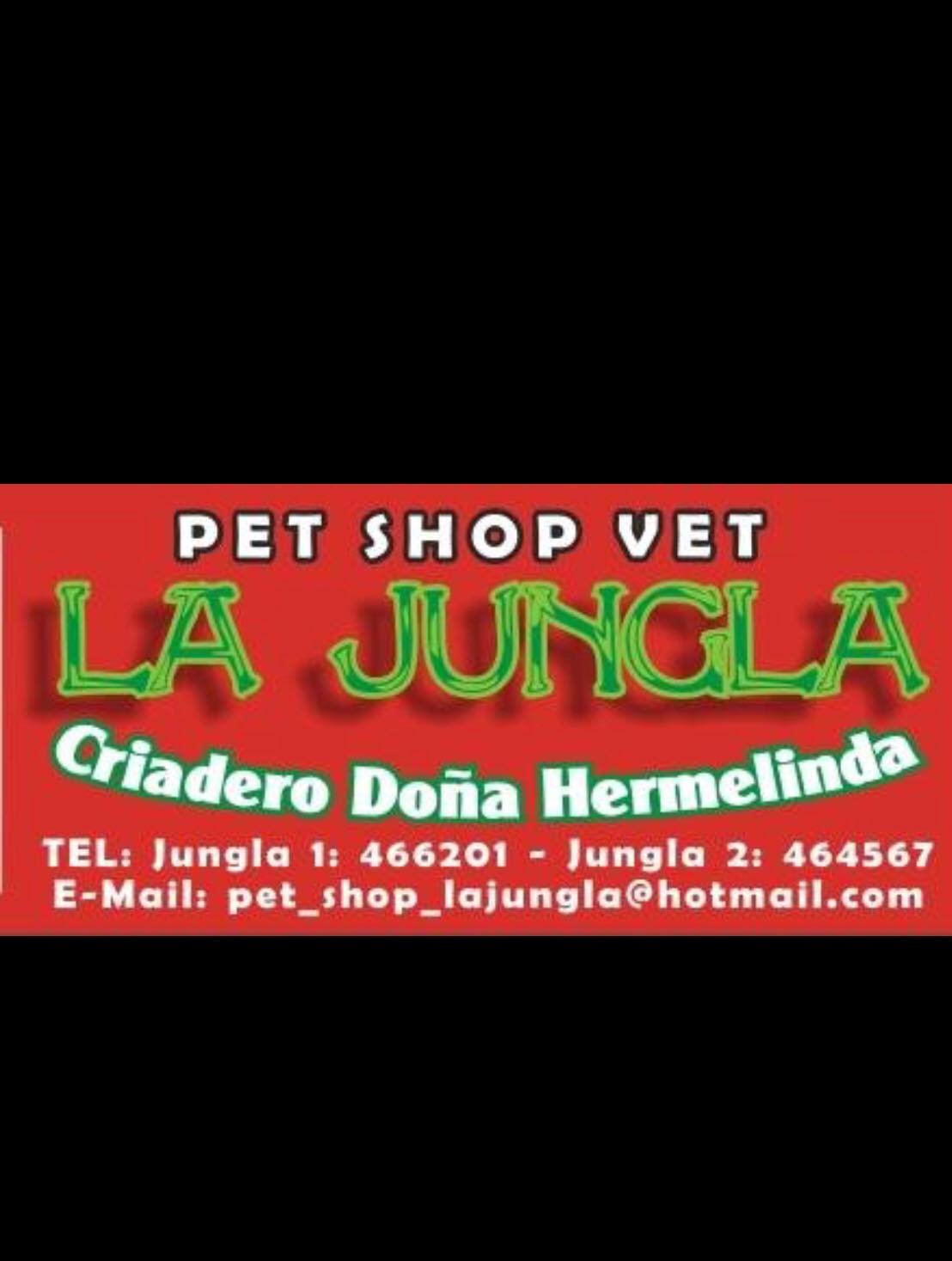 Veterinaria corrientes La Jungla Corrientes