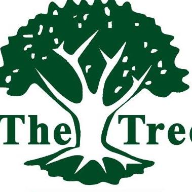 Maharishi Vidhya Mandir - MVM Tree | Coimbatore