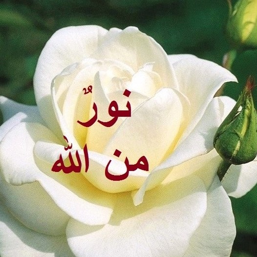نورٌ من الله