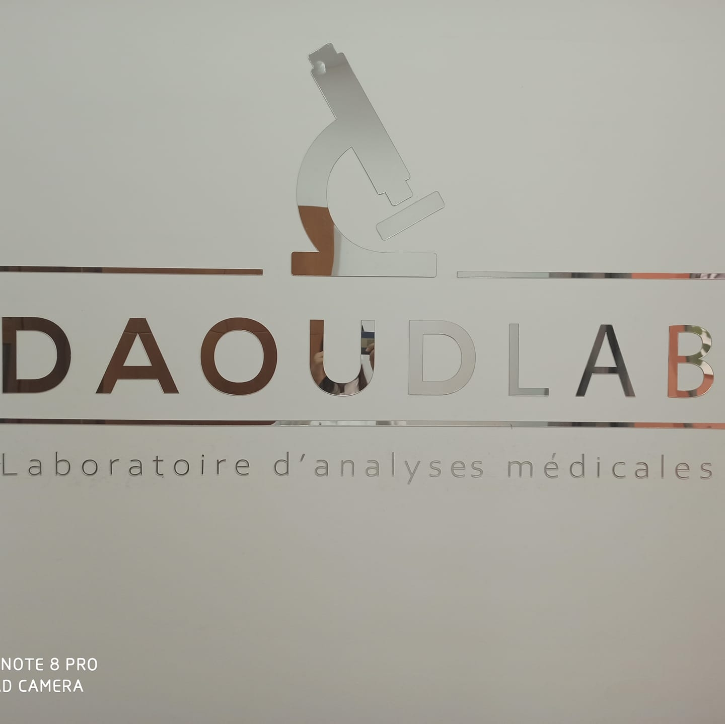Daoud Lab | Bizerte