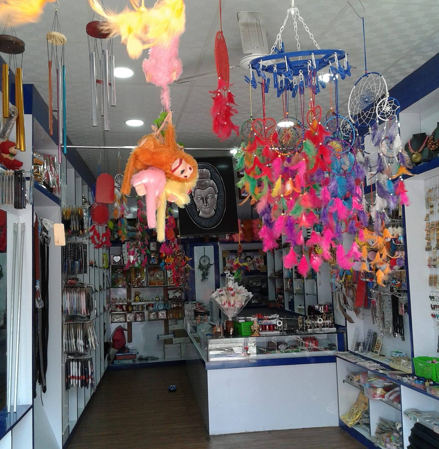 Rohini collection