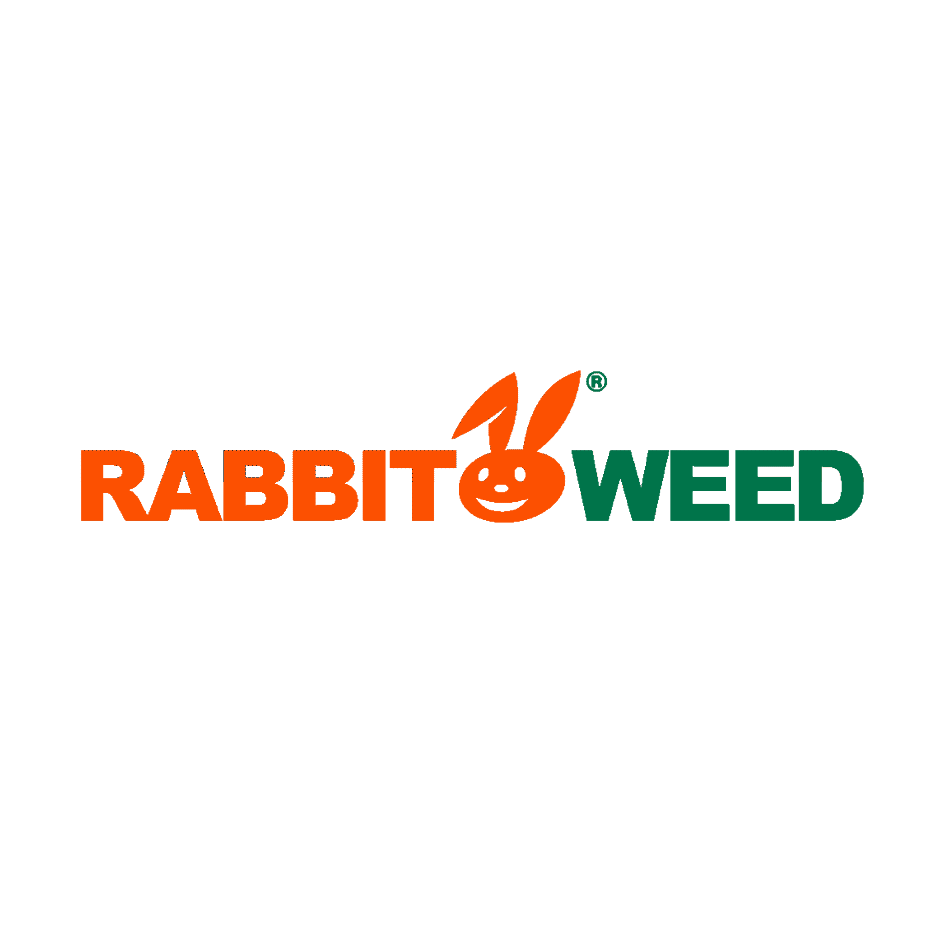 Rabbit weed | Stoky