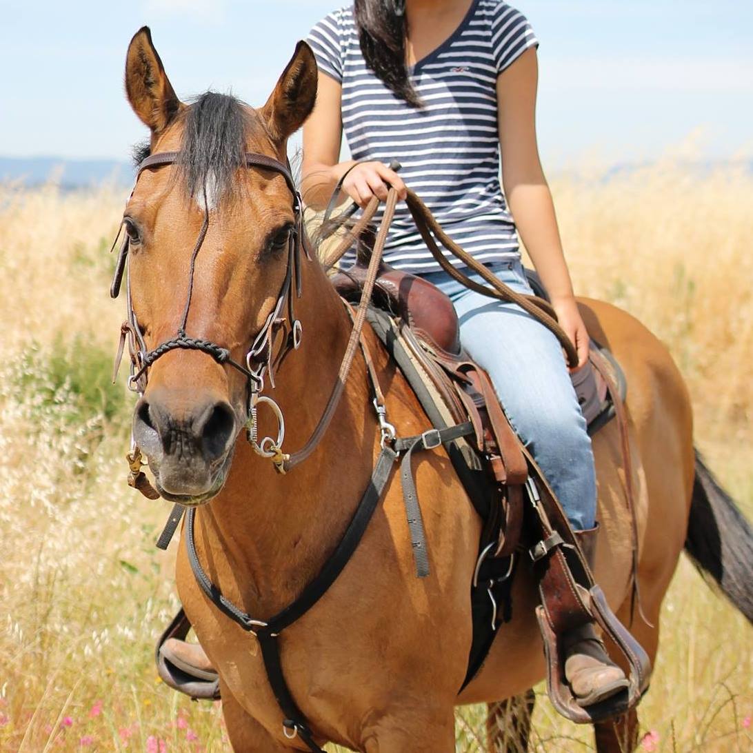 Front and Center Horse Riding Academy | Gig Harbor WA