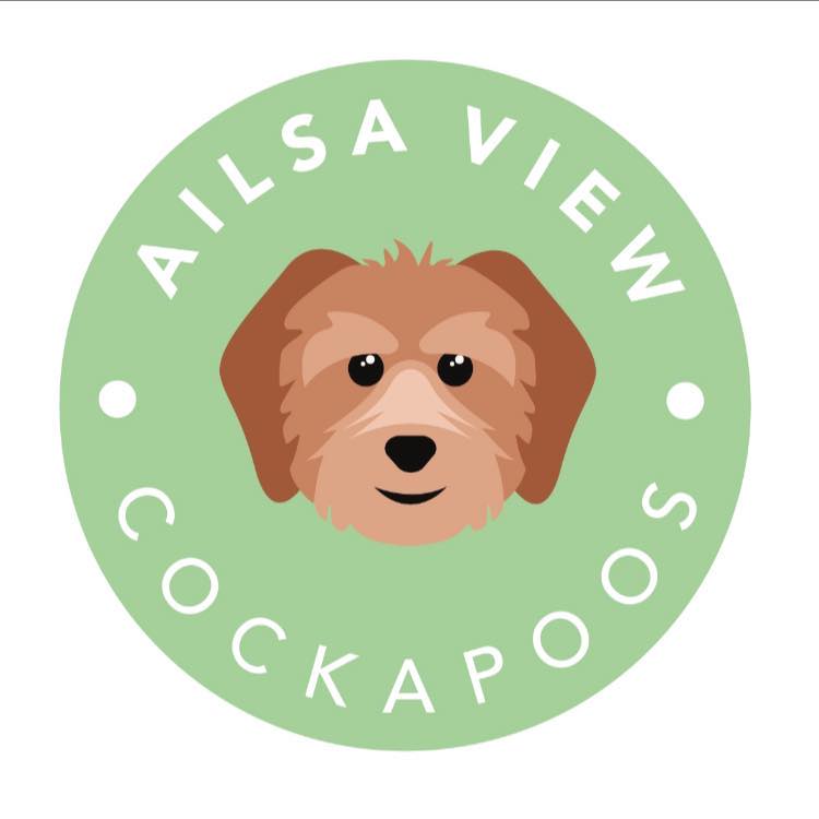 As everyone knows, on the side we... - Ailsa View Cockapoo's | Facebook