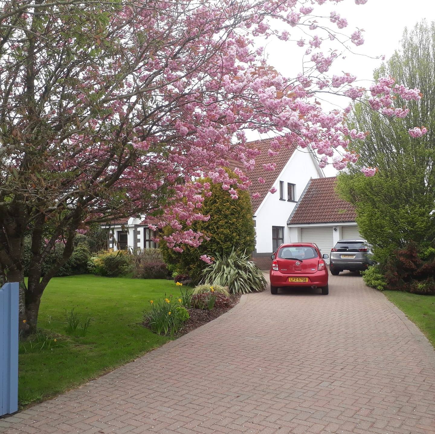 Castlerock Road Bed and Breakfast | Coleraine