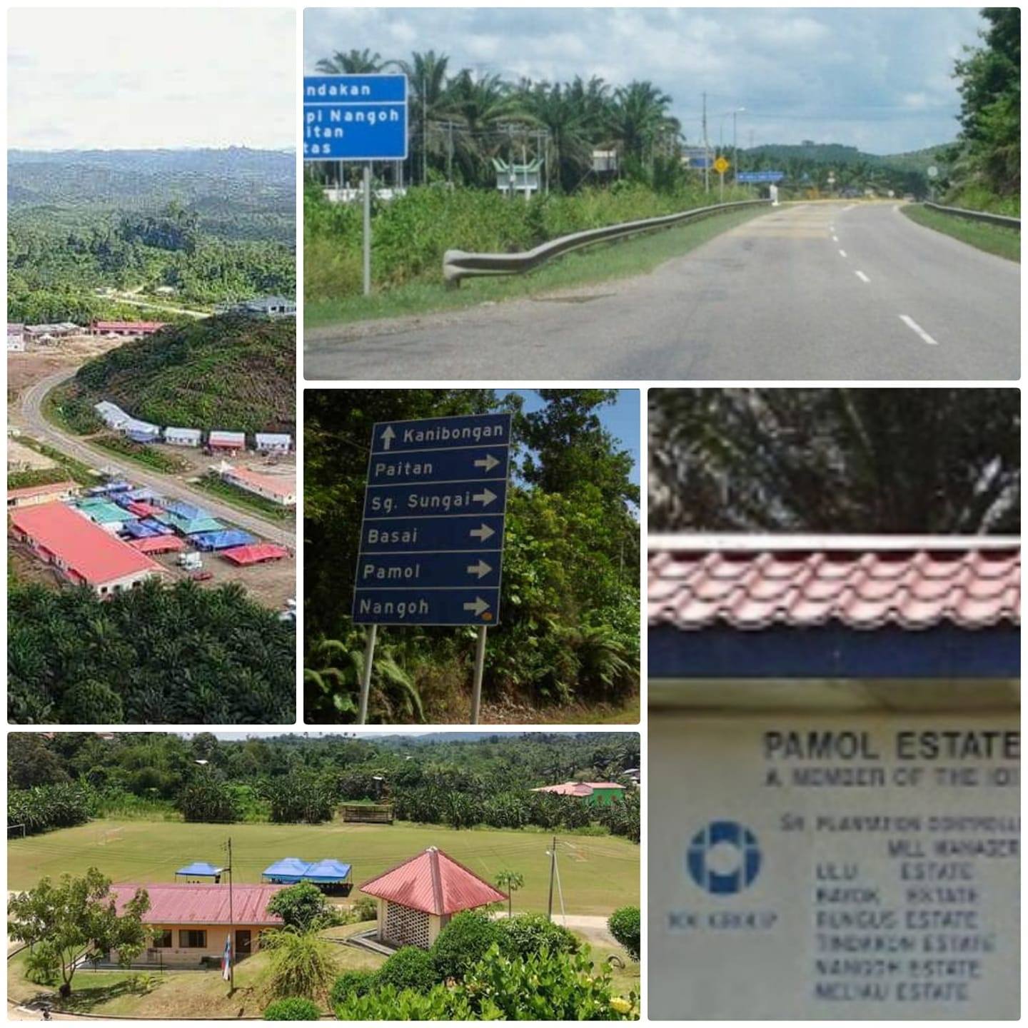 Pamol,Nangoh,Basai,Batition dan Sapi Plantation