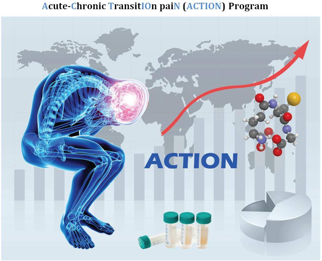 Action: Acute to Chronic Pain Transition
