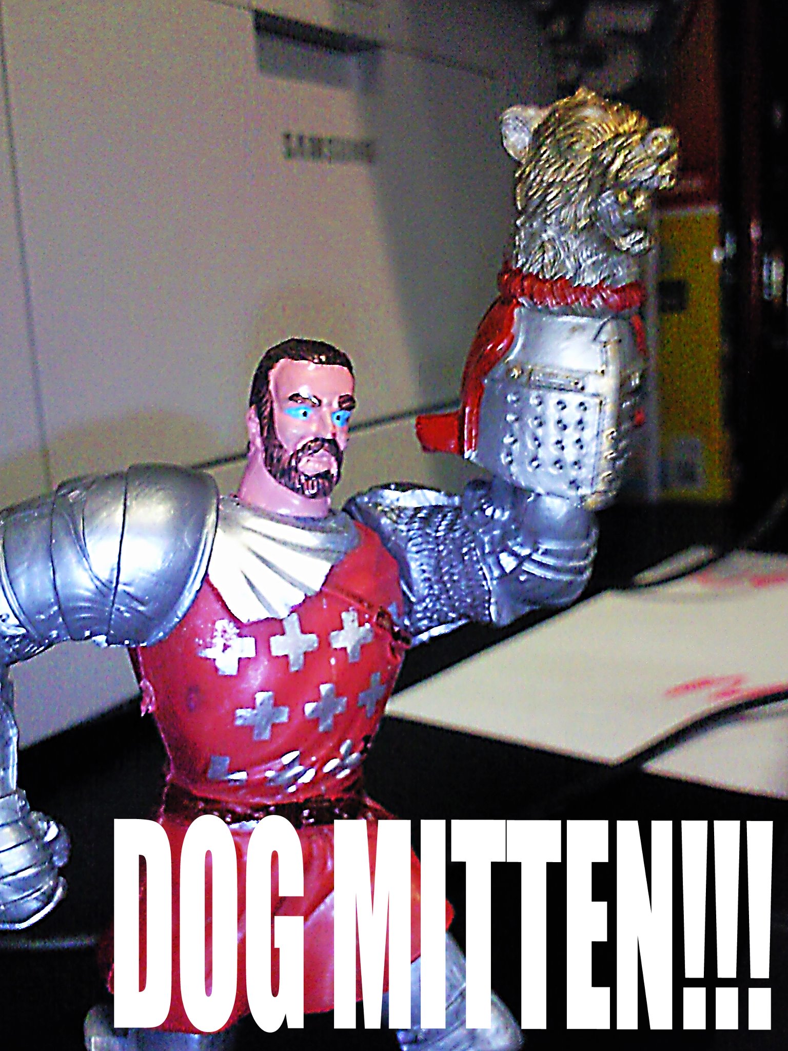 Curated visual reference: The Legend Of Dog Mitten Photo Inspiration