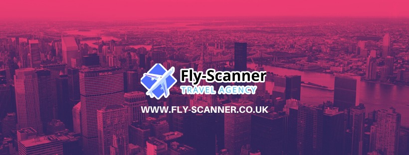 Fly Scanner