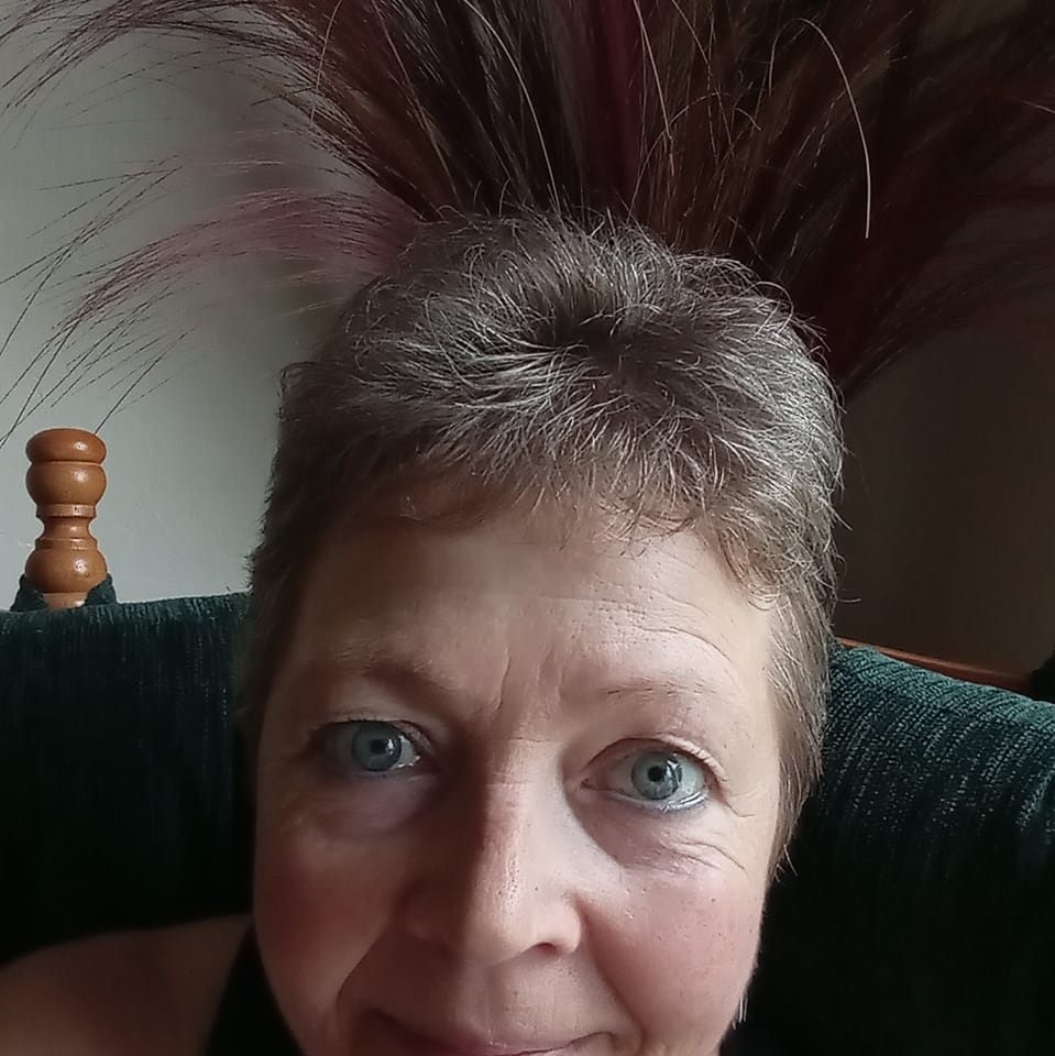 Lisa Fifield