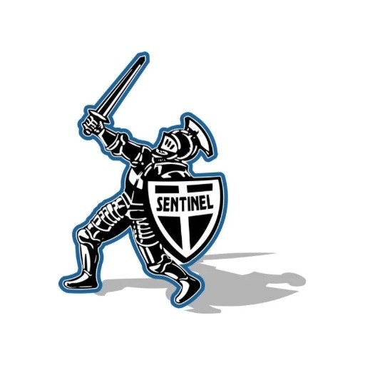 Sentinel Alarms Australia P/L | Sydney NSW