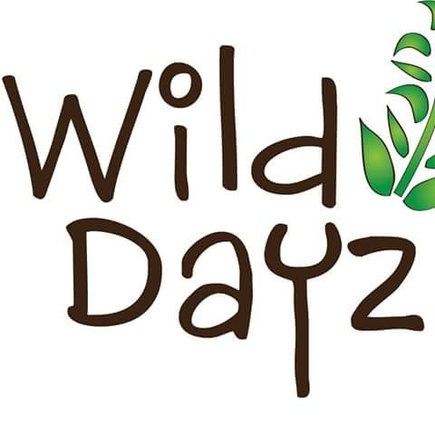 Wild Dayz; Forest School & Creative Play