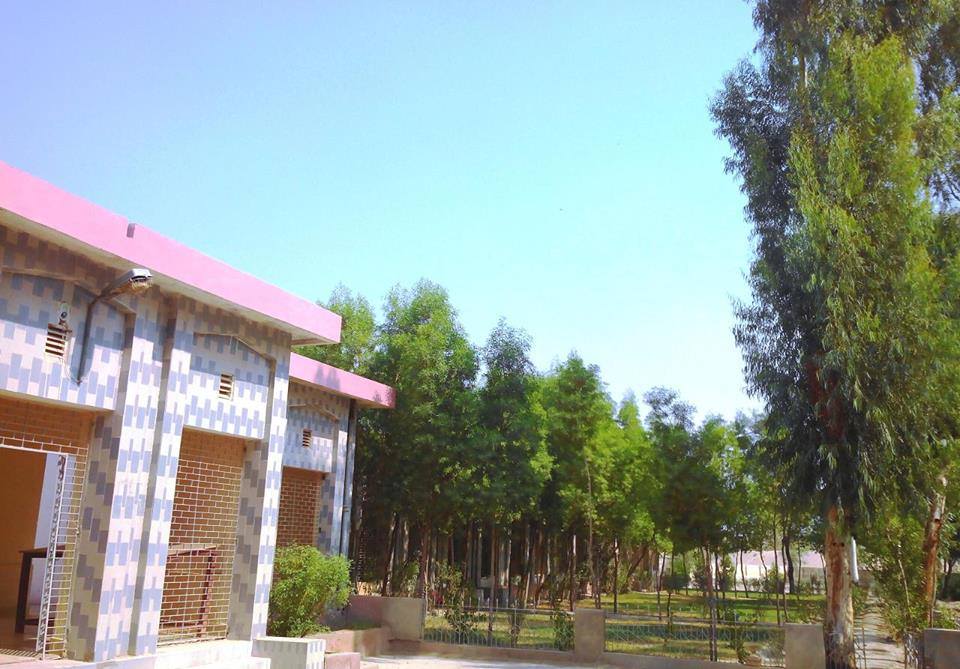Meer Azhar Rind