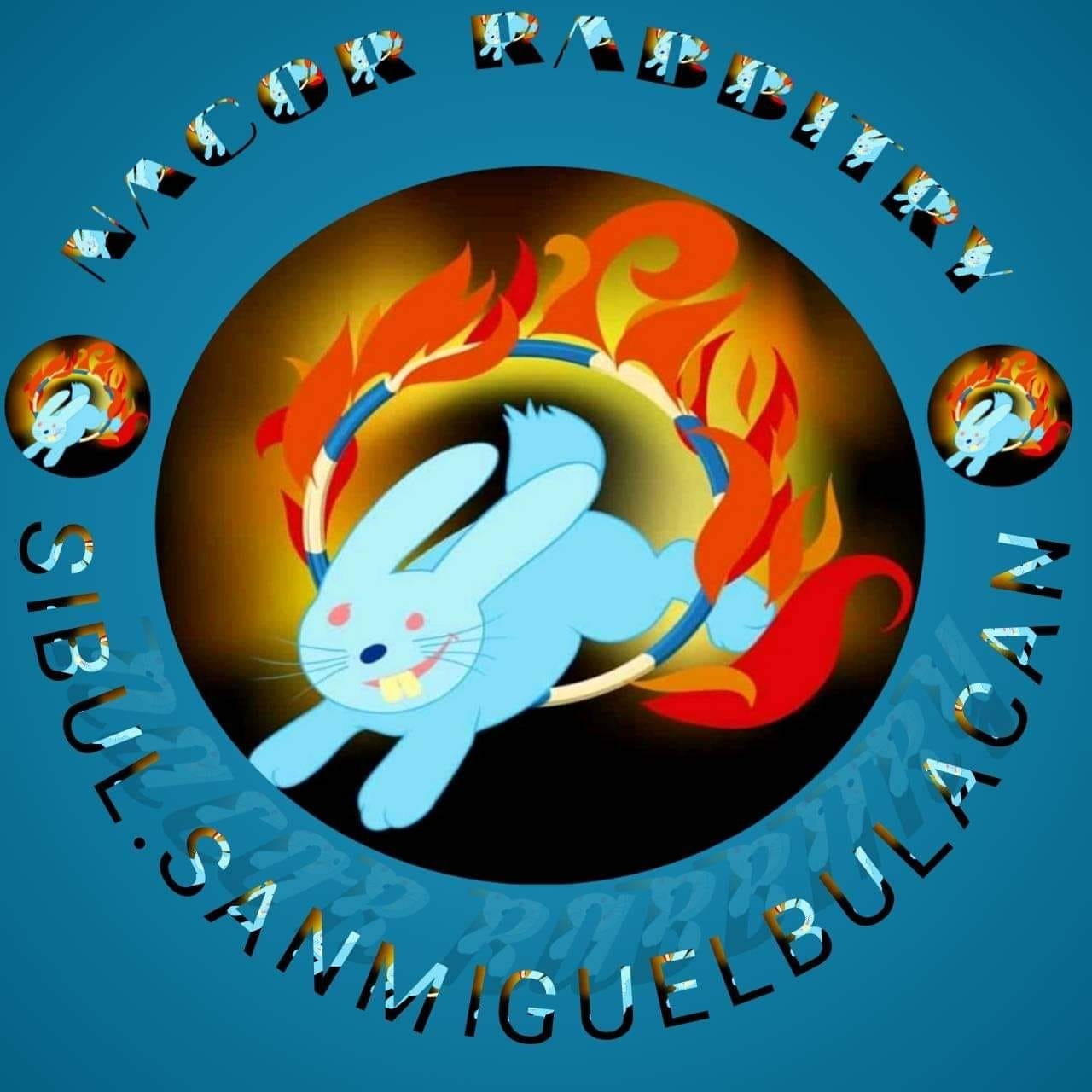 NACOR Rabbitry | Bulacan