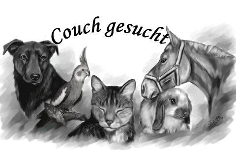 Couch gesucht (@couchgesucht) • Facebook