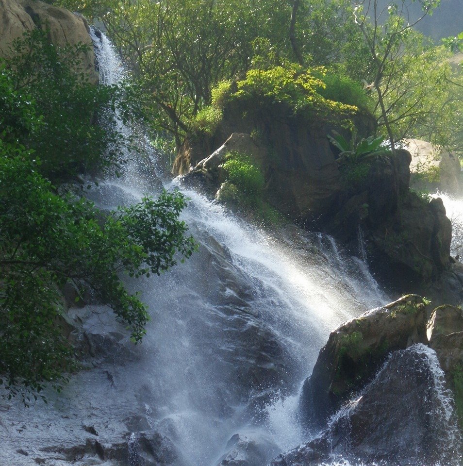 Namma Menasi - ನಮ್ಮ ಮೆಣಸಿ