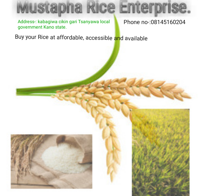 Mustapha Rice farming Enterprise