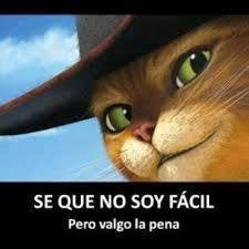 Amistades sinceras
