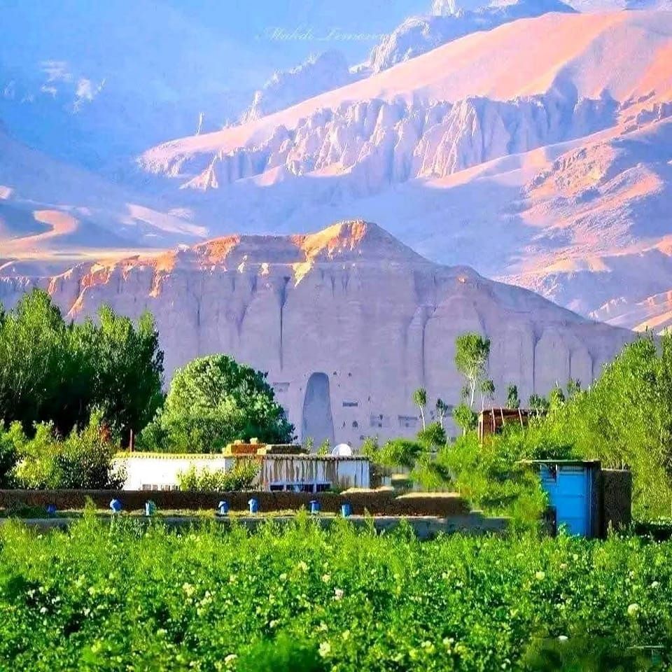 لالا علی