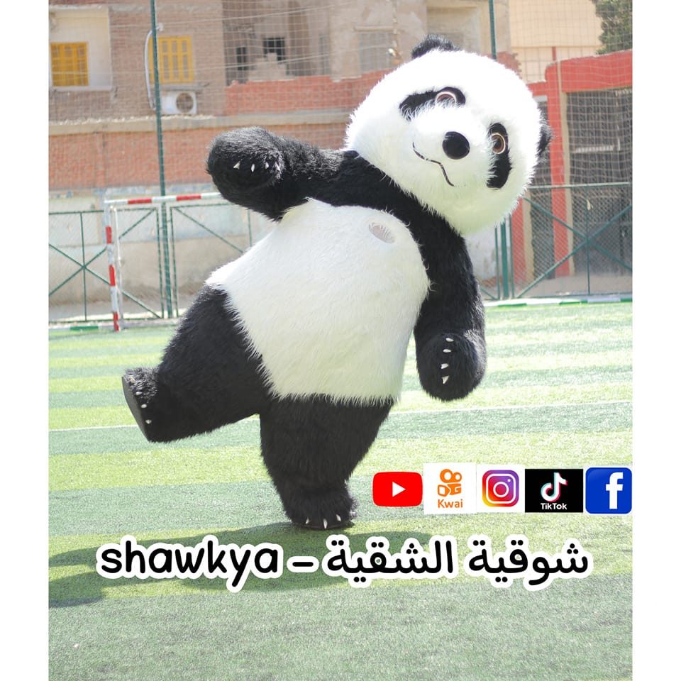 shawkya