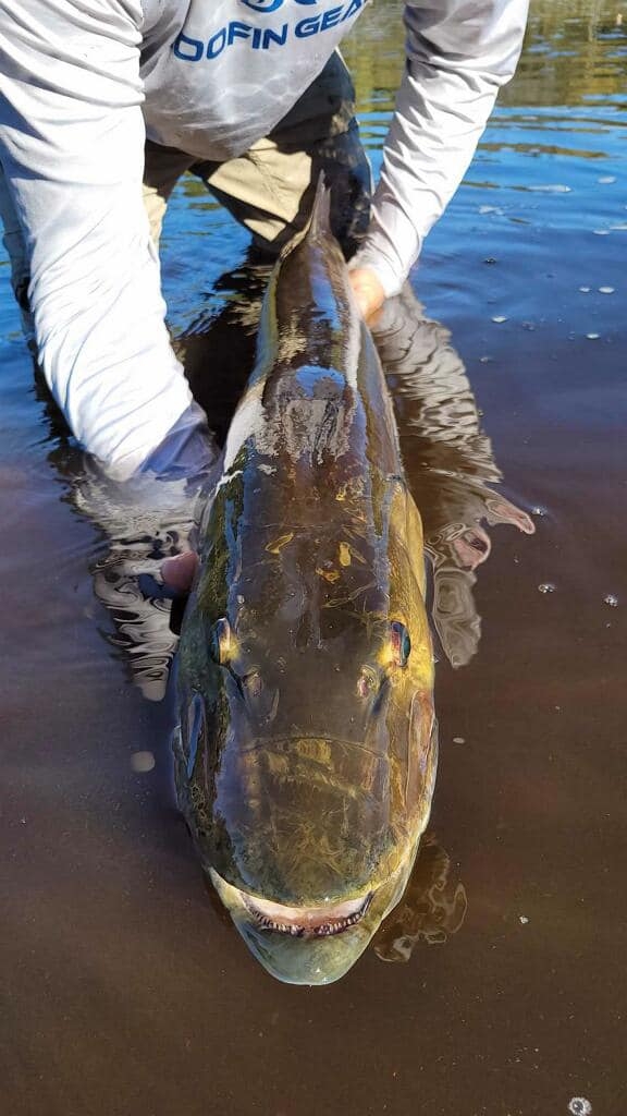 Foxtail Custom Rods | Hixton WI