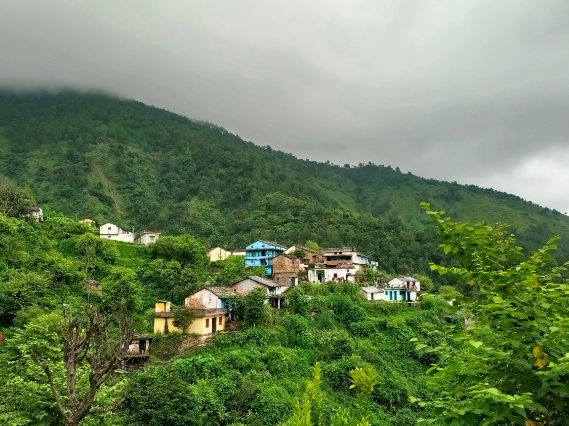 घुघूती
