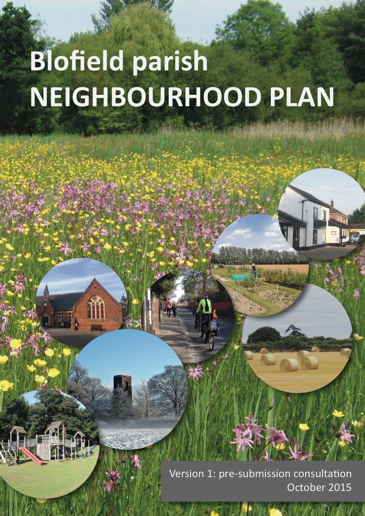 Blofield Parish Neighbourhood Plan