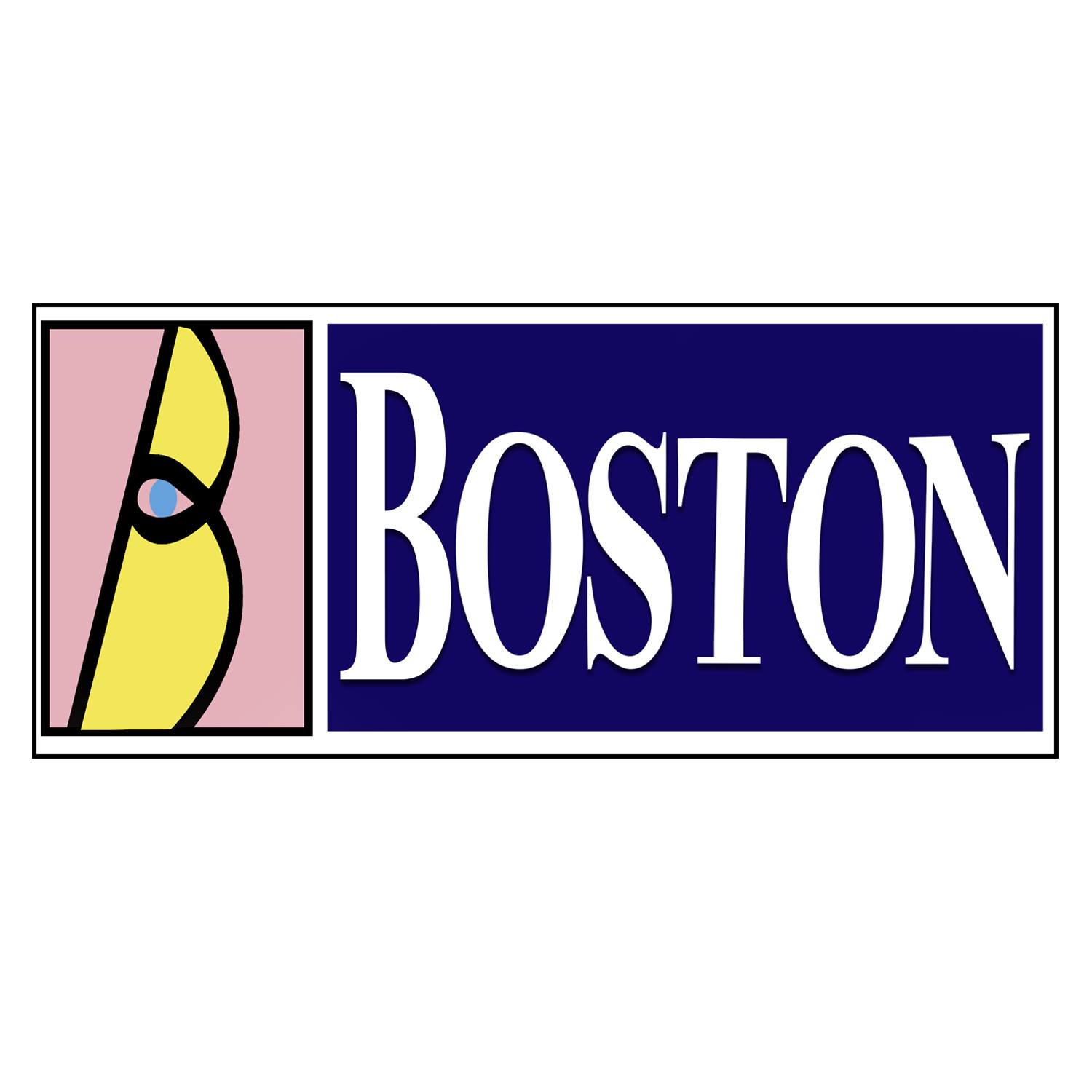 Boston Computer | Akola