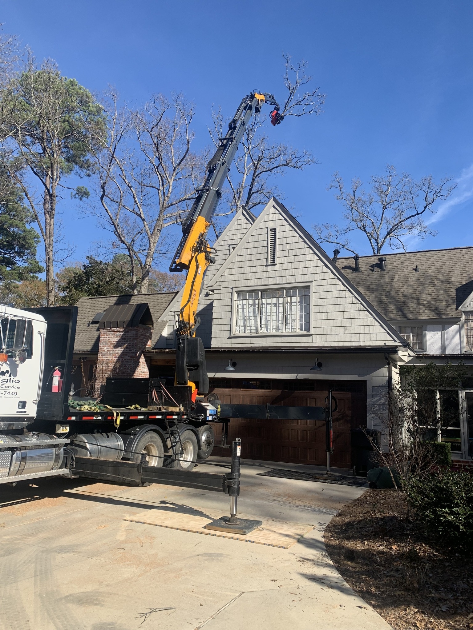 Figlio Tree Service