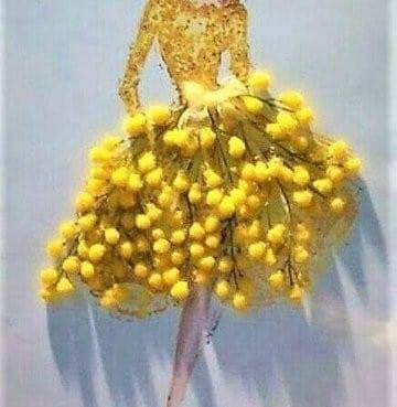 Udruzenje -Mimoza Plus