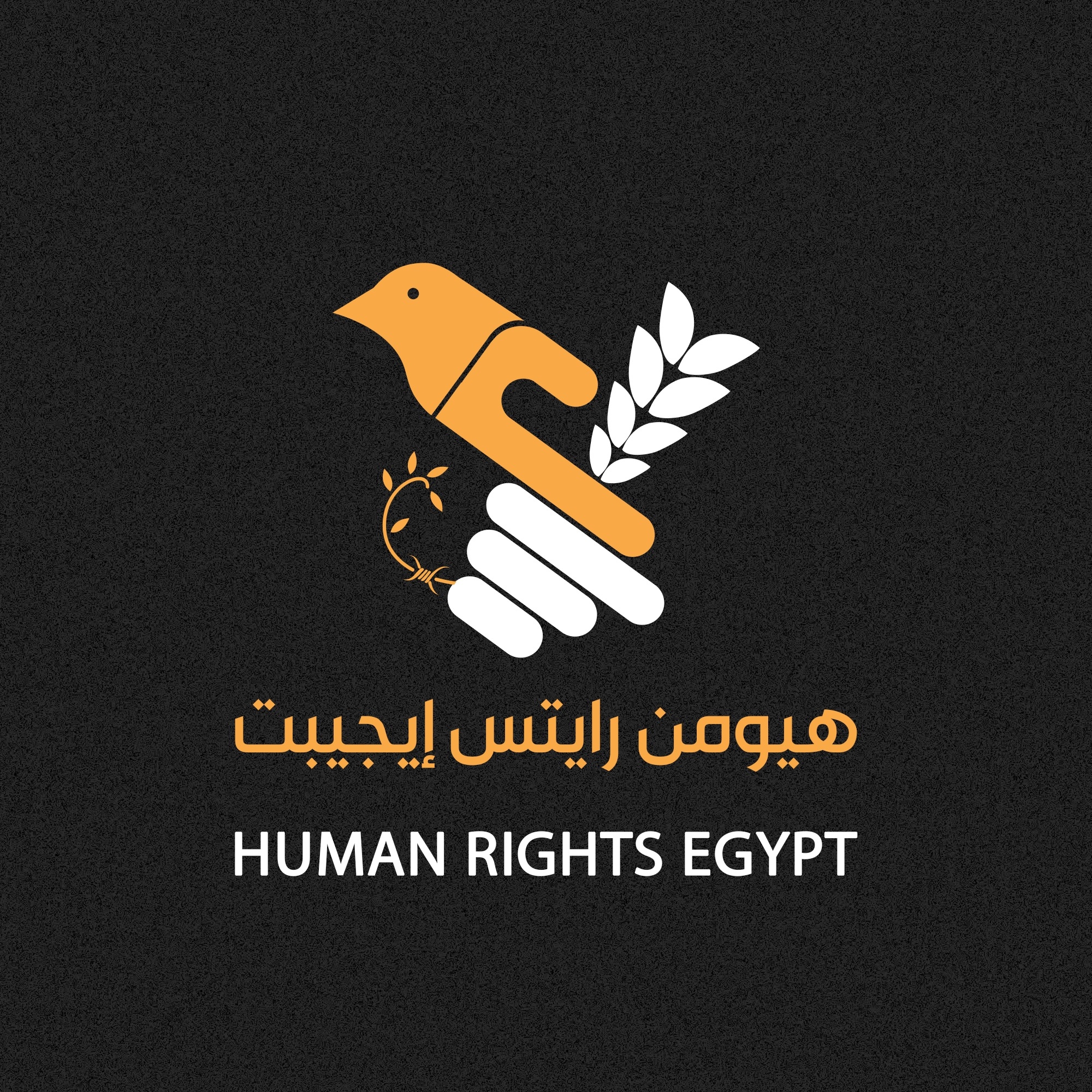 هيومن رايتس إيجيبت Human Rights Egypt