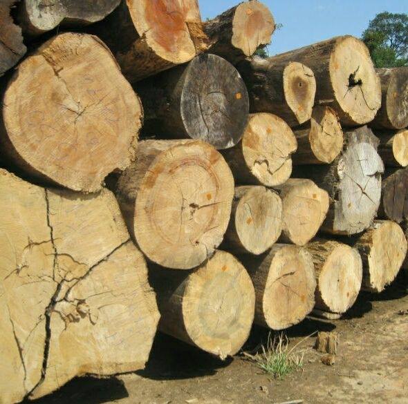 Barraca Segare