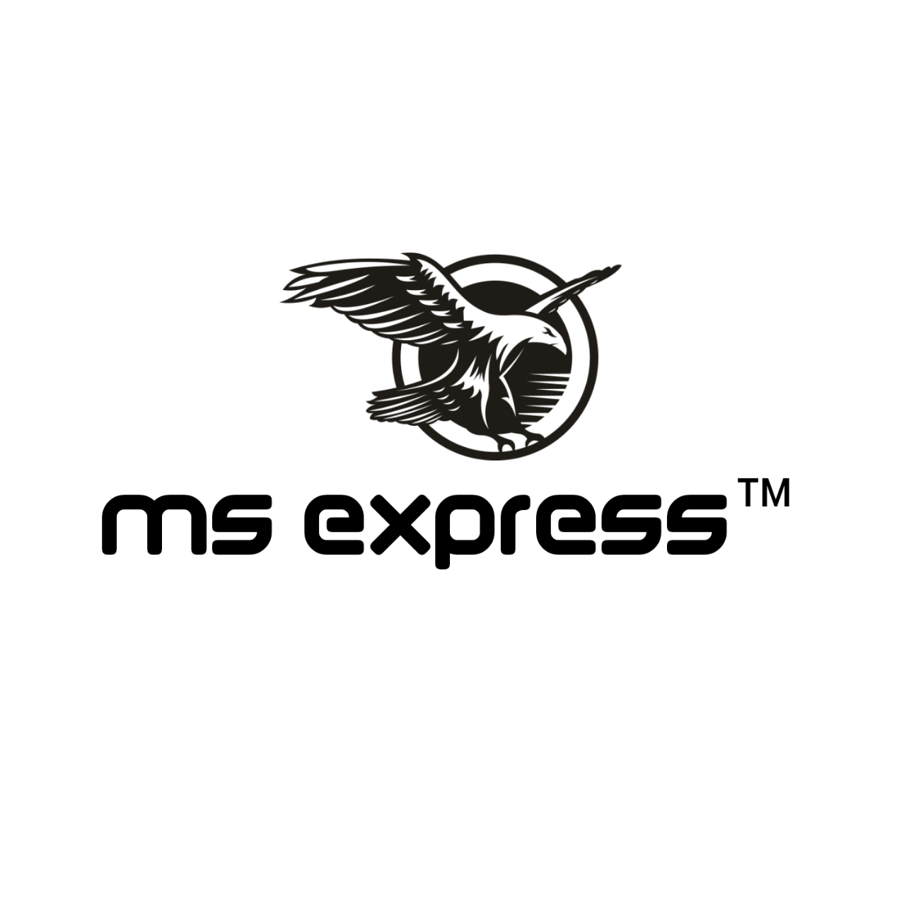 Ms express