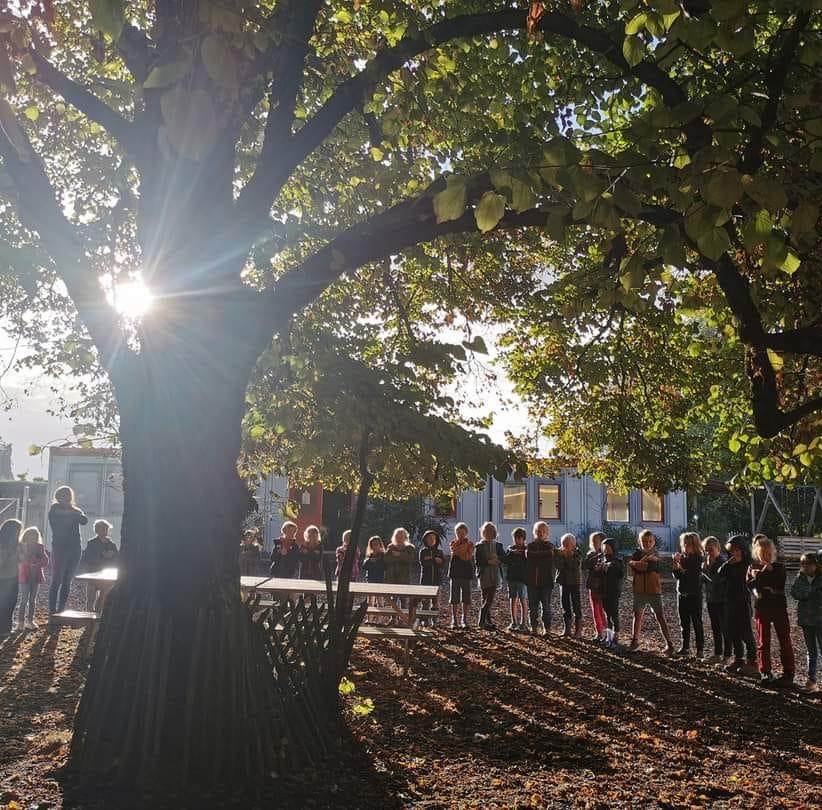 De... - De Ringelwikke, landelijke Steinerschool Ronse