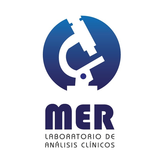 MER Laboratorio