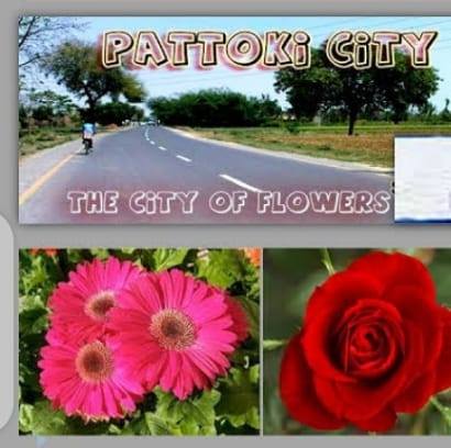 City of Flowers Pattoki
