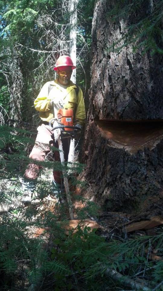 High Country Tree Service | Rogue River OR