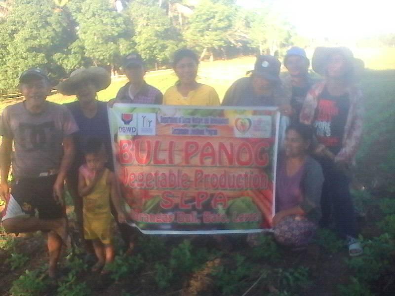 Buli Panog "Vegetable Production" SLPA BRGY. BULI BATO, LEYTE