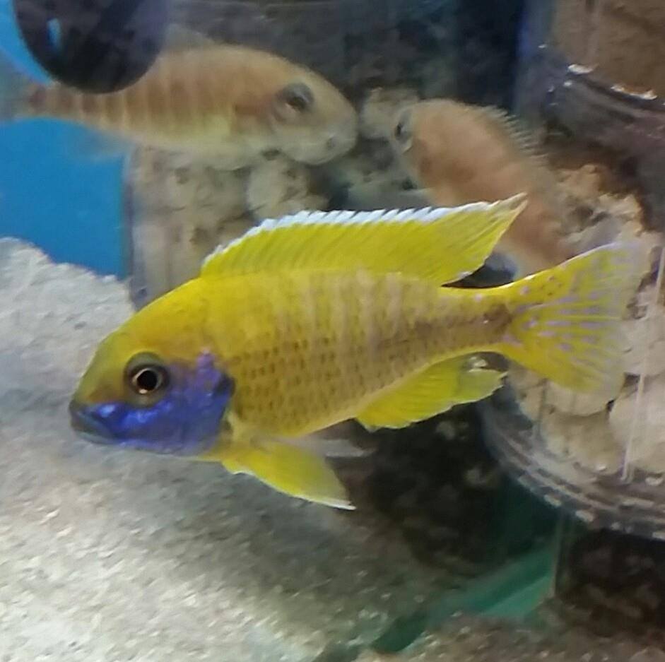 Select Fish | Adelaide SA